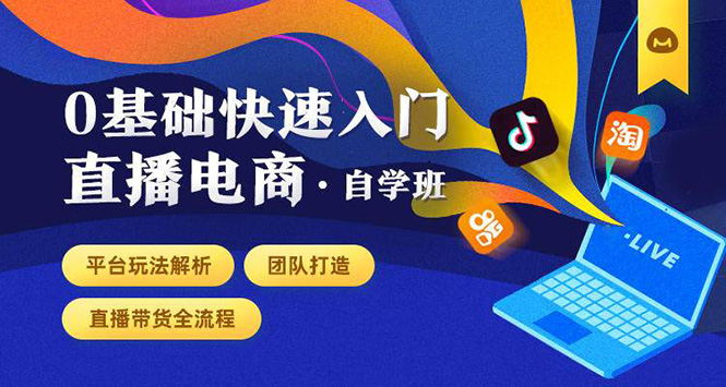 0基础快速入门直播电商课程：直播平台玩法解析-团队打造-带货全流程等环节_泡桐学堂