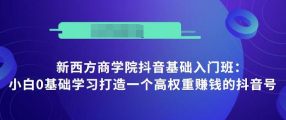 抖音基础入门班：小白0基础学习打造一个高权重赚钱的抖音号_泡桐学堂