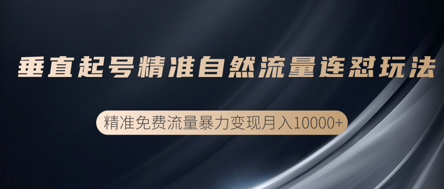 垂直起号精准自然流量连爆玩法，精准引流暴力变现月入10000+_泡桐学堂