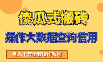 搬砖操作大数据查询信用项目赚钱教程，祝你快速月入6万_泡桐学堂