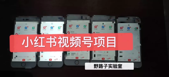 野路子小红书视频号1.0项目，直接上手操作就能赚钱的视频号项目_泡桐学堂