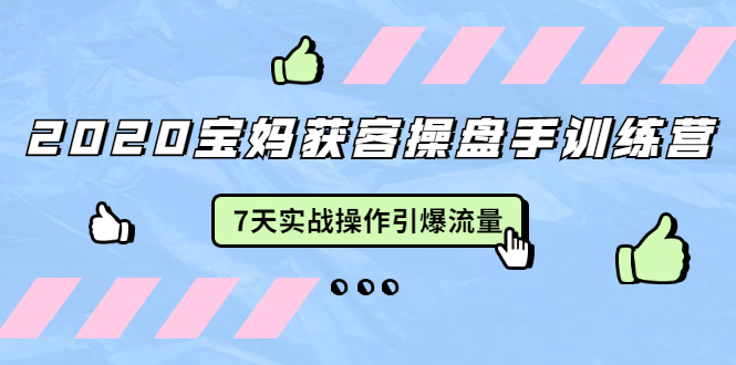 2020宝妈获客操盘手训练营：7天实战操作引爆 母婴、都市、购物宝妈流量_泡桐学堂
