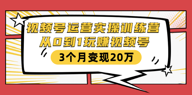 视频号运营实操训练营：从0到1玩赚视频号，3个月变现20万_泡桐学堂