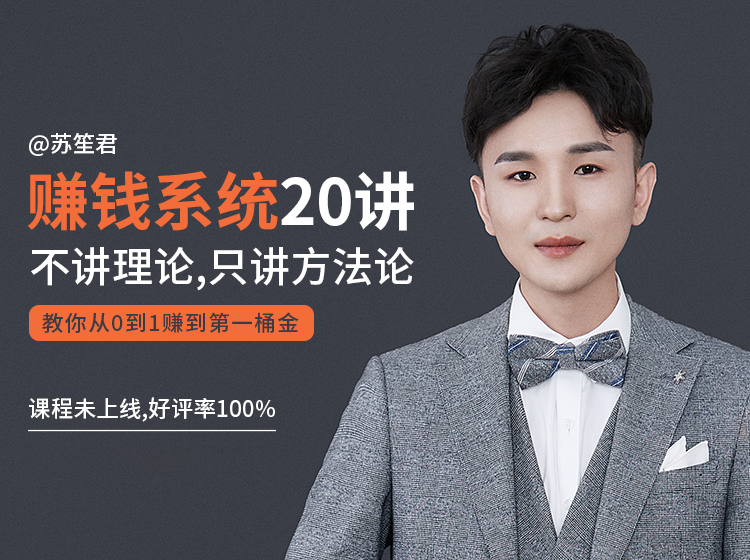苏笙君的赚钱系统20课 教你从0到1赚到你的第一桶金（不讲理论，只讲方法论）_泡桐学堂