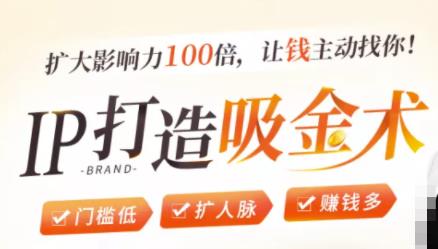 IP打造吸金术：0基础0资源，也能扩大影响力100倍，让钱主动找你！_泡桐学堂