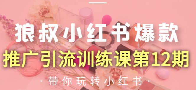 狼叔小红书爆款推广引流训练课第12期，手把手带你玩转小红书_泡桐学堂