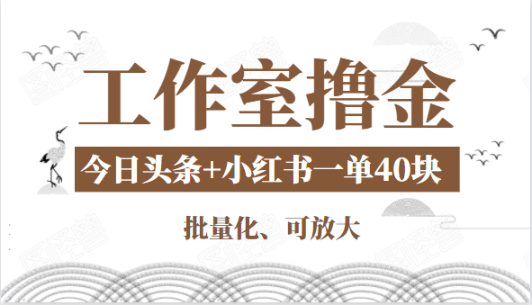 工作室撸金二件套：撸今日头条原创收益+小红书一单利润40块项目_泡桐学堂