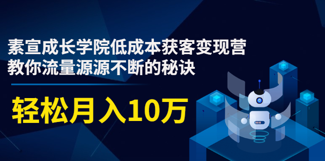 素宣成长学院低成本获客变现营，教你流量源源不断的秘诀，轻松月入10万_泡桐学堂