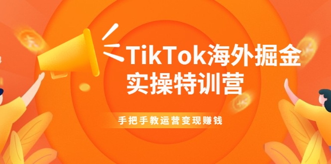 TikTok海外掘金实操特训营：手把手教运营变现赚钱_泡桐学堂