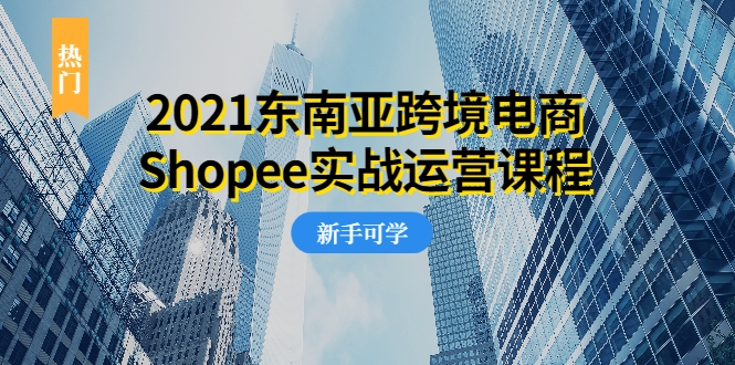 2021东南亚跨境电商Shopee实战运营课程，0基础、0经验、0投资的副业项目_泡桐学堂