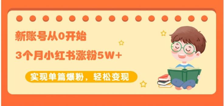生财小红书涨粉变现：新账号从0开始3个月小红书涨粉5W+实现单篇爆粉_泡桐学堂