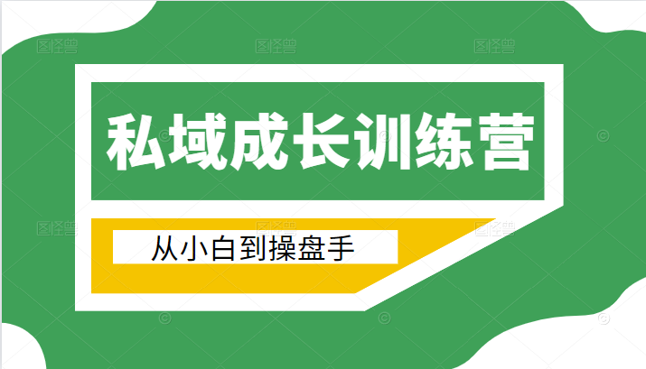 电商私域成长训练营，从小白到操盘手（价值999元）_泡桐学堂