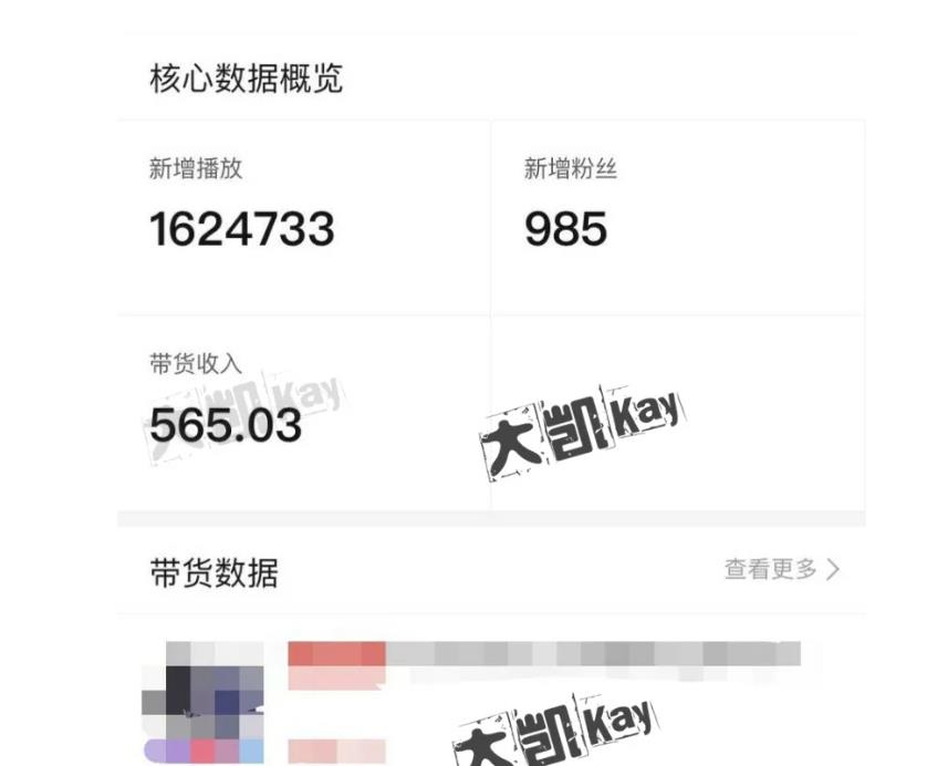 大凯进阶圈新玩法之拼多多视频玩法，利润大概一个号一天能有500~1500的左右!_泡桐学堂