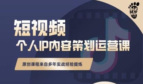 抖音短视频个人ip内容策划实操课，真正做到普通人也能实行落地_泡桐学堂
