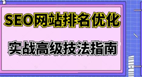 樊天华·SEO网站排名优化实战高级技法指南，让客户找到你_泡桐学堂