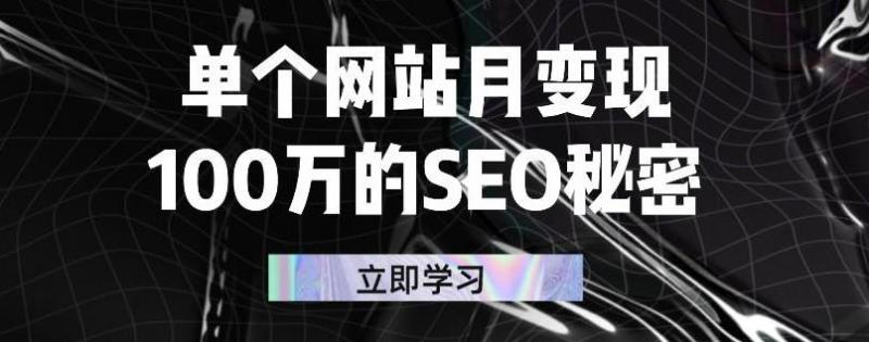 单个网站月变现100万的SEO秘密，百分百做出赚钱站点_泡桐学堂
