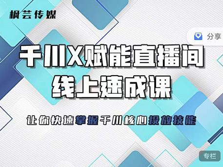 枫芸传媒-线上千川提升课，提升千川认知，提升千川投放效果_泡桐学堂