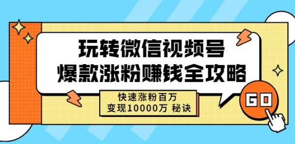 玩转微信视频号爆款涨粉赚钱全攻略，快速涨粉百万变现万元秘诀_泡桐学堂