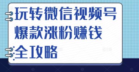 玩转微信视频号爆款涨粉赚钱全攻略，让你快速抓住流量风口，收获红利财富_泡桐学堂