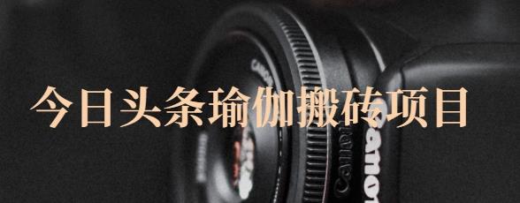 猎人社区·今日头条瑜伽搬砖项目，单号一天几十收入，可以批量操作！_泡桐学堂