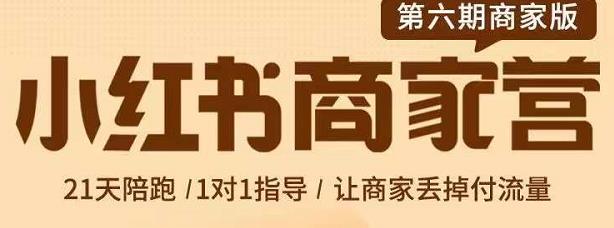 贾真-小红书商家营第6期商家版，21天带货陪跑课，让商家丢掉付流量_泡桐学堂