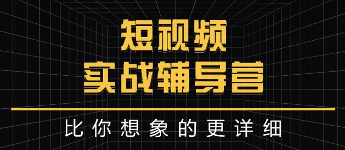 达人队长:短视频实战辅导营，比你想象的更详细_泡桐学堂