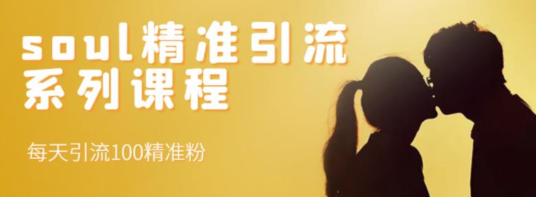 soul精准引流系列课程，每天引流100精准粉_泡桐学堂