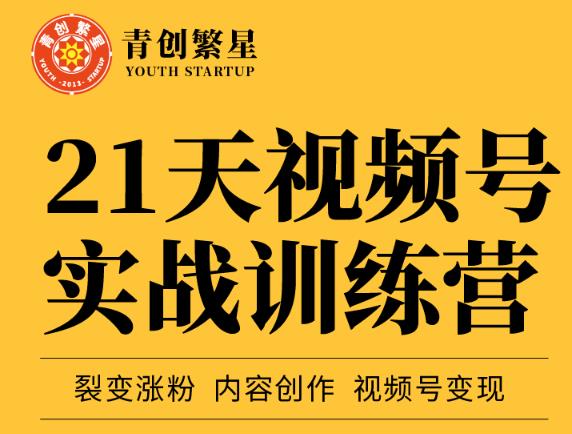 张萌21天视频号实战训练营，裂变涨粉、内容创作、视频号变现 价值298元_泡桐学堂