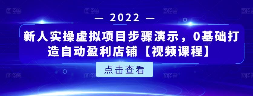 新人实操虚拟项目步骤演示，0基础打造自动盈利店铺【视频课程】_泡桐学堂