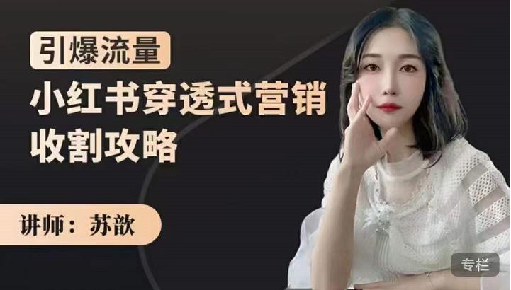 苏歆：小红书穿透式营销收割攻略，引爆流量，助你玩转小红书_泡桐学堂