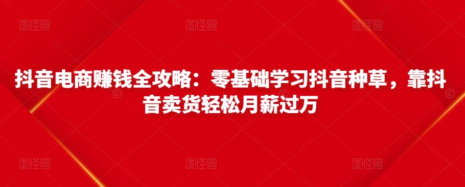 抖音电商赚钱全攻略：零基础学习抖音种草，靠抖音卖货轻松月薪过万_泡桐学堂