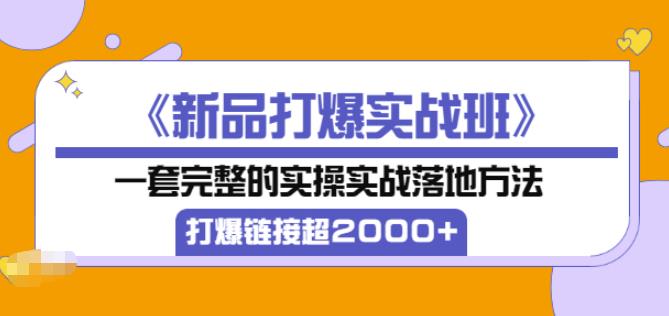 凌童《新品打爆实战班》,一套完整的实操实战落地方法，打爆链接超2000+（28节课)_泡桐学堂