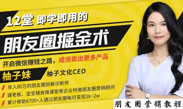 【营销必学】12堂学之即用的朋友圈掘金术：开启你的副业赚钱之路_泡桐学堂