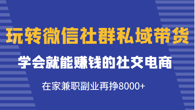 玩转微信社群私域带货，学会就能赚钱的社交电商，在家兼职副业再挣8000+_泡桐学堂