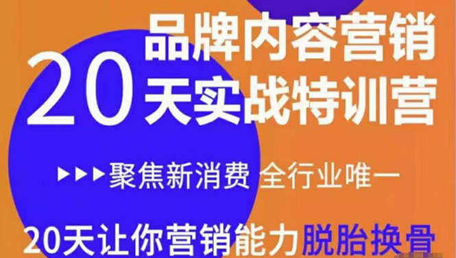 《内容营销实操特训营》20天让你营销能力脱胎换骨（价值3999）_泡桐学堂