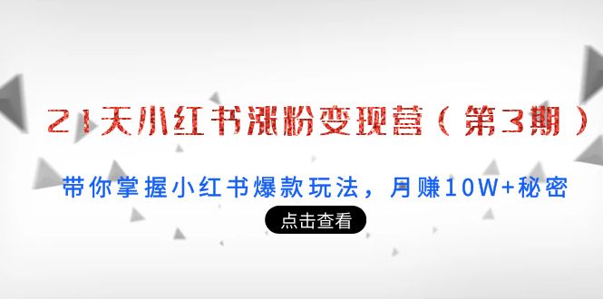 21天小红书涨粉变现营（第3期）：带你掌握小红书爆款玩法，月赚10W+秘密_泡桐学堂