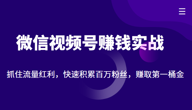 微信视频号赚钱实战：抓住流量红利，快速积累百万粉丝，赚取你的第一桶金_泡桐学堂