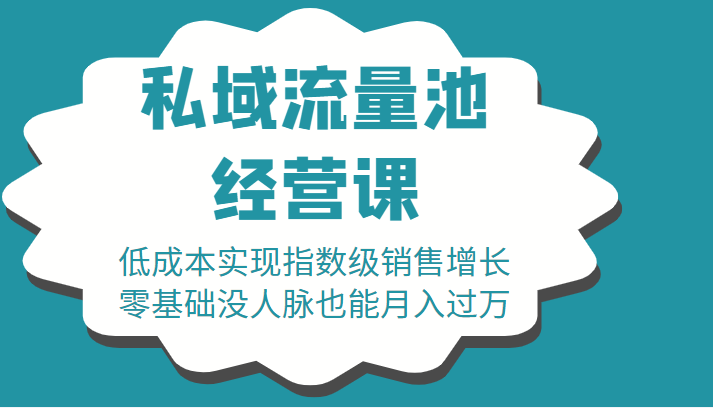 16堂私域流量池经营课：低成本实现指数级销售增长，零基础没人脉也能月入过万_泡桐学堂