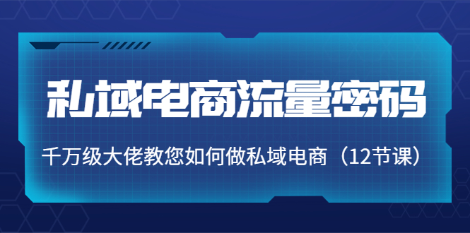 私域电商流量密码：千万级大佬教您如何做私域电商（12节课）_泡桐学堂