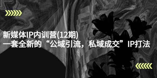 新媒体IP内训营(12期)，一套全新的“公域引流，私域成交”IP打法，直接带走_泡桐学堂