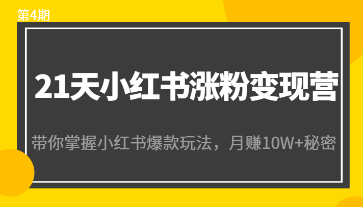 21天小红书涨粉变现营（第4期）：带你掌握小红书爆款玩法，月赚10W+秘密_泡桐学堂