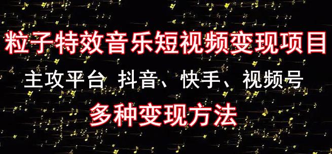 黄岛主《粒子特效音乐短视频变现项目》主攻平台抖音、快手、视频号多种变现方法_泡桐学堂