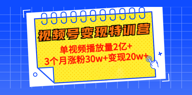 21天视频号变现特训营：单视频播放量2亿+3个月涨粉30w+变现20w+（第14期）_泡桐学堂