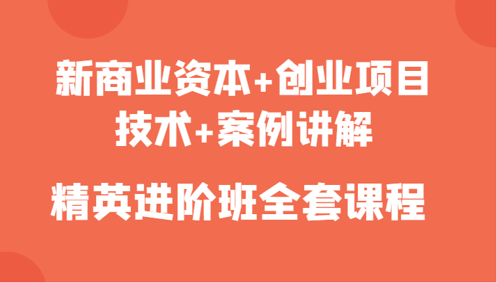 新商业资本+创业项目，技术+案例讲解，精英进阶班全套课程_泡桐学堂