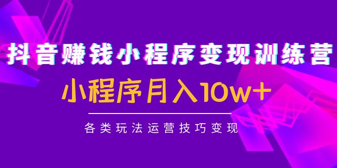 抖音赚钱小程序变现训练营：小程序月入10w+各类玩法运营技巧变现_泡桐学堂