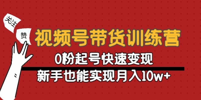 视频号带货训练营：0粉起号快速变现，新手也能实现月入10w+_泡桐学堂