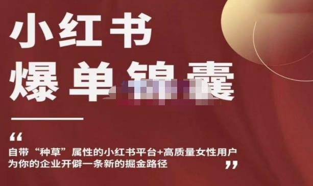小红书爆单锦囊，自带种草属性+高质量女性用户，为你的企业开辟一条新的掘金路径_泡桐学堂