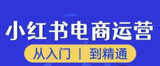 顽石小红书电商高阶运营课程，从入门到精通，玩法流程持续更新_泡桐学堂