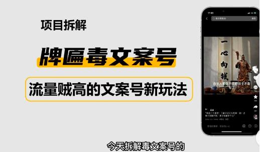2023抖音快手毒文案新玩法，牌匾文案号，起号快易变现_泡桐学堂