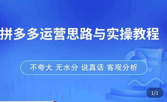 拼多多店铺运营思路与实操教程，快速学会拼多多开店和运营，少踩坑，多盈利_泡桐学堂